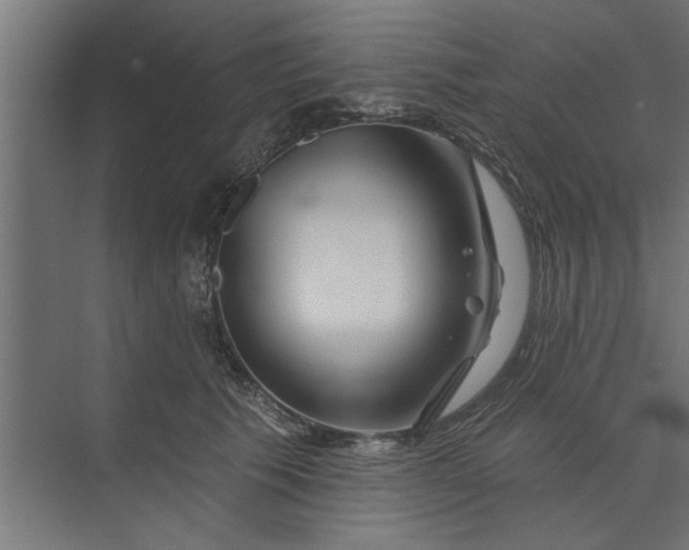 X0000073850609200608241044