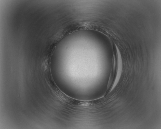 X0000073850611200608241044