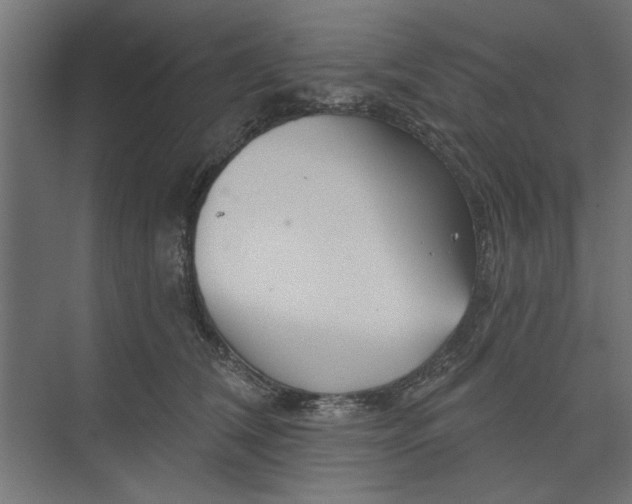 X0000073850612200608241044