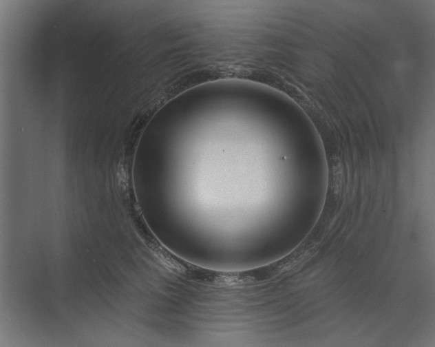 X0000073850613200608241044