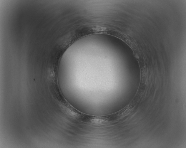 X0000073850614200608241044