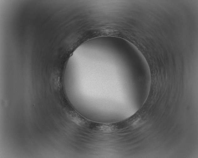 X0000073850615200608241044