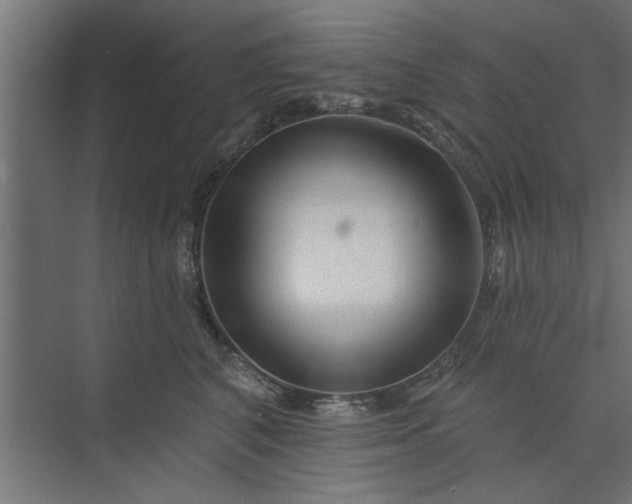 X0000073850616200608241044