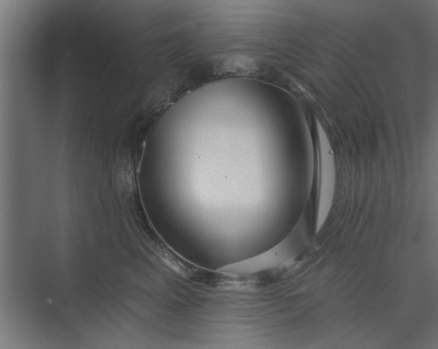 X0000073850617200608241044