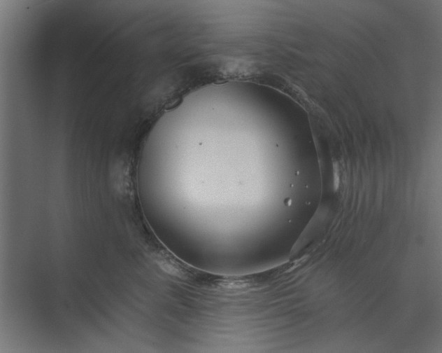 X0000073850619200608241044