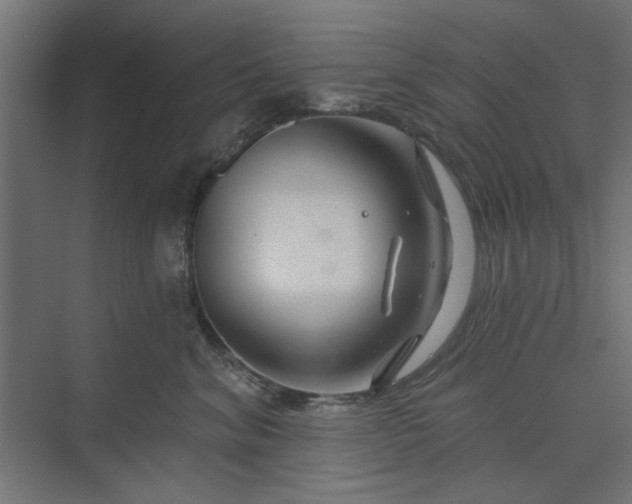 X0000073850620200608241044