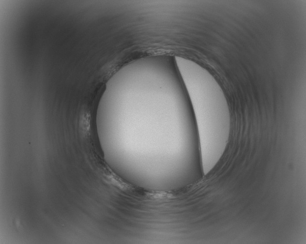 X0000073850621200608241044