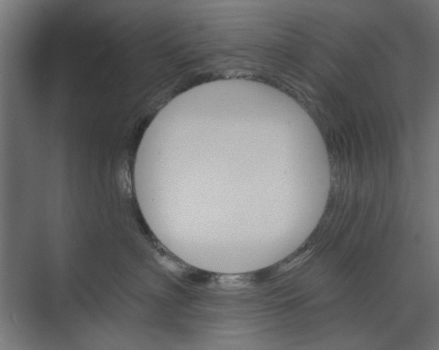 X0000073850622200608241044