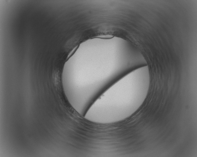 X0000073850623200608241044