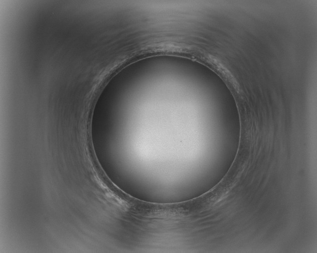 X0000073850625200608241043