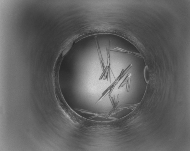 X0000073850626200608241043