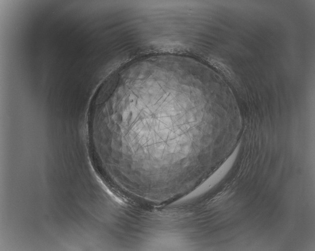 X0000073850630200608241043