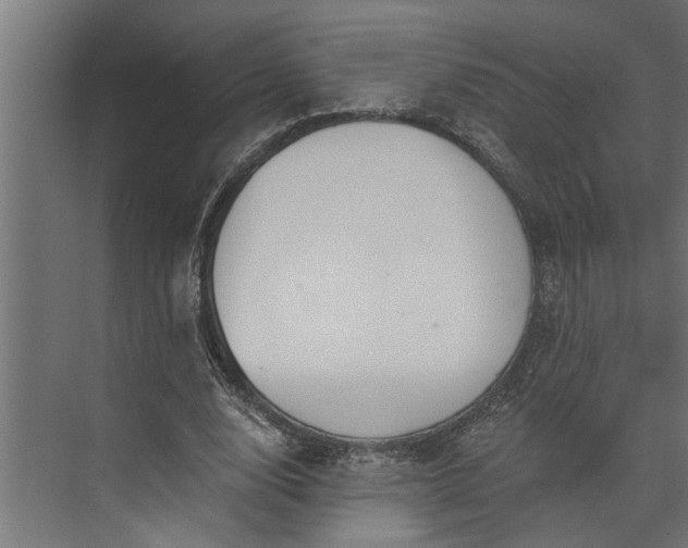 X0000073850632200608241043