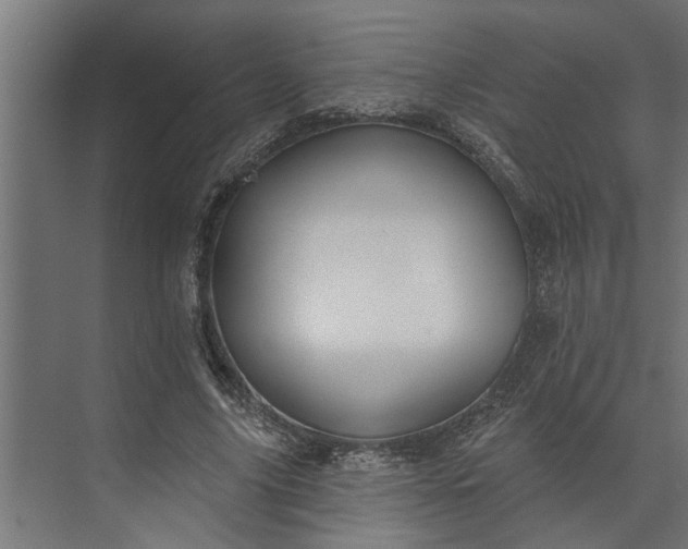 X0000073850635200608241043