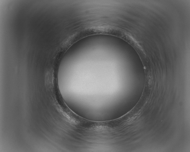 X0000073850637200608241043