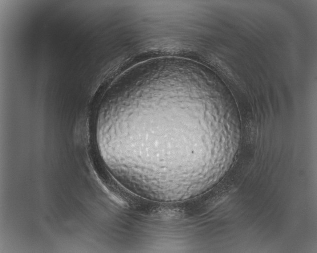 X0000073850638200608241043