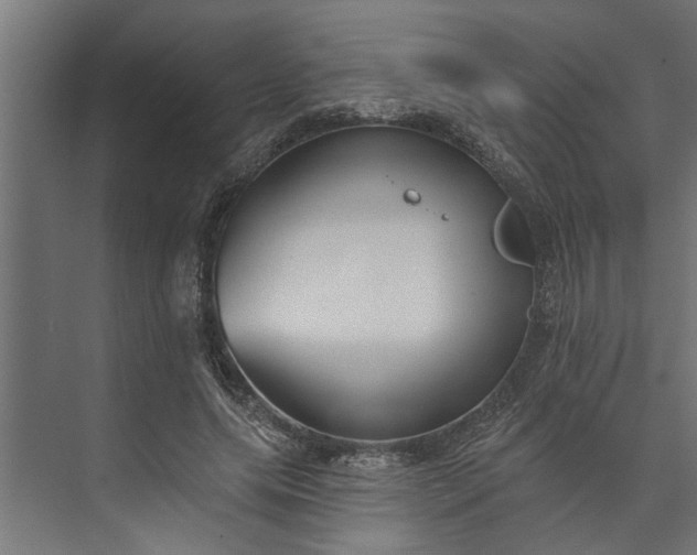 X0000073850639200608241044