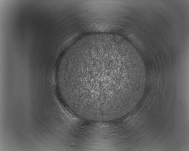 X0000073850640200608241044