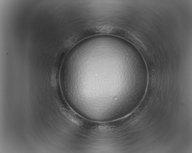 X0000073850641200608241044