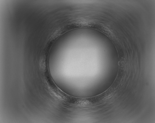 X0000073850642200608241044