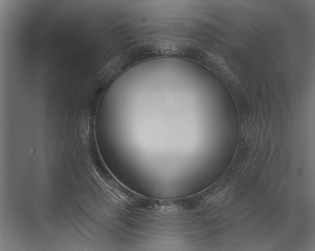 X0000073850645200608241044