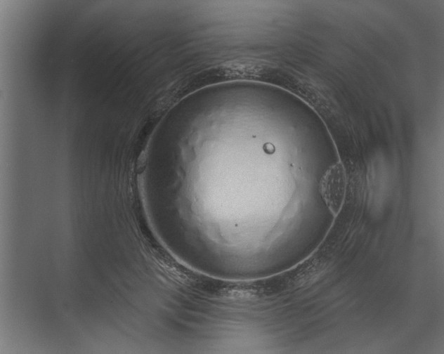 X0000073850649200608241044