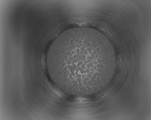 X0000073850650200608241044