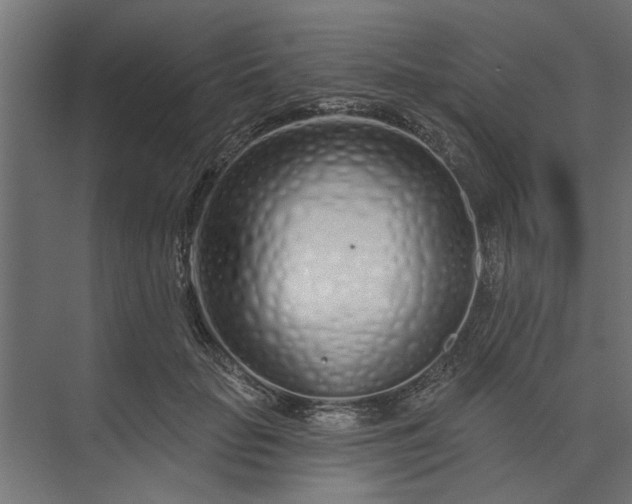 X0000073850653200608241044