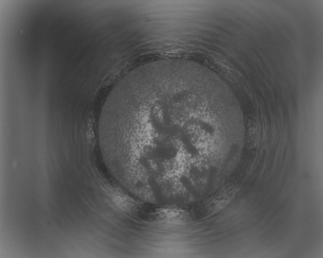 X0000073850654200608241044