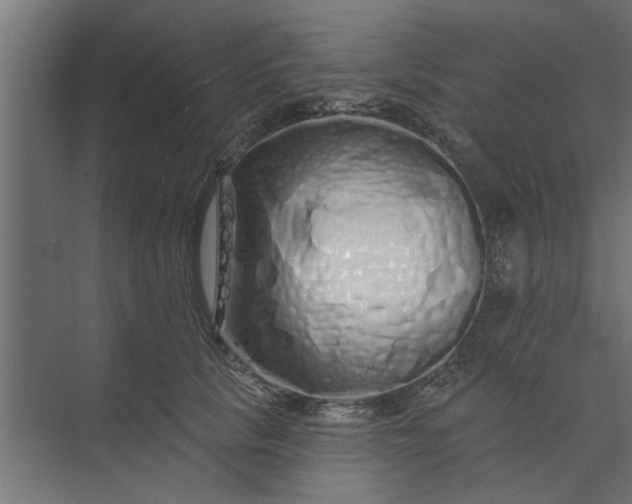 X0000073850657200608241044