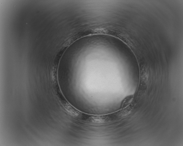 X0000073850658200608241044