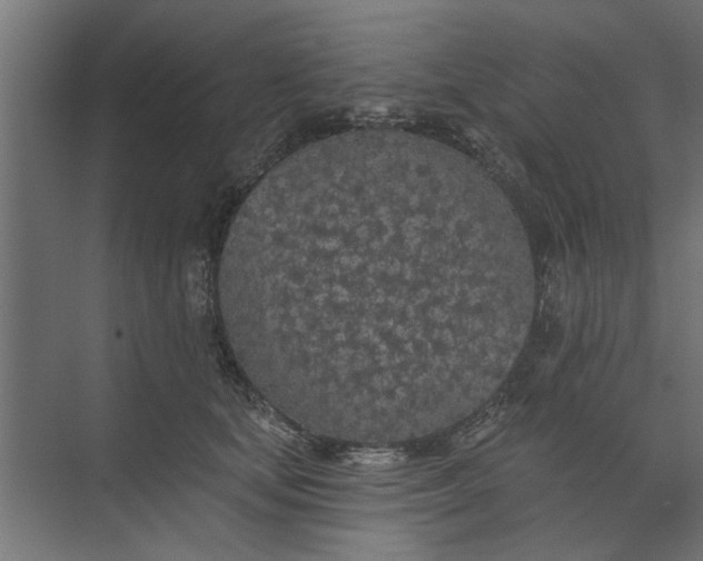 X0000073850659200608241044