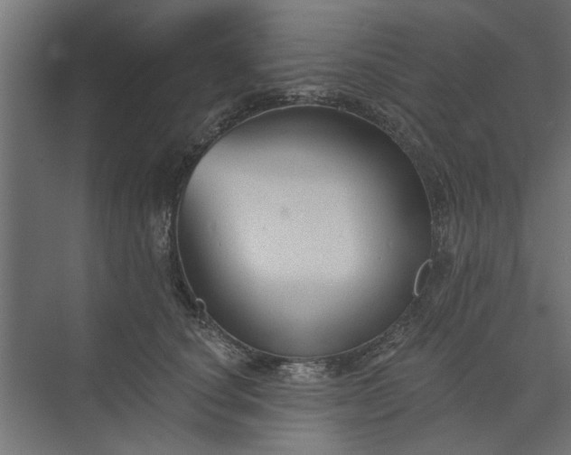 X0000073850660200608241044