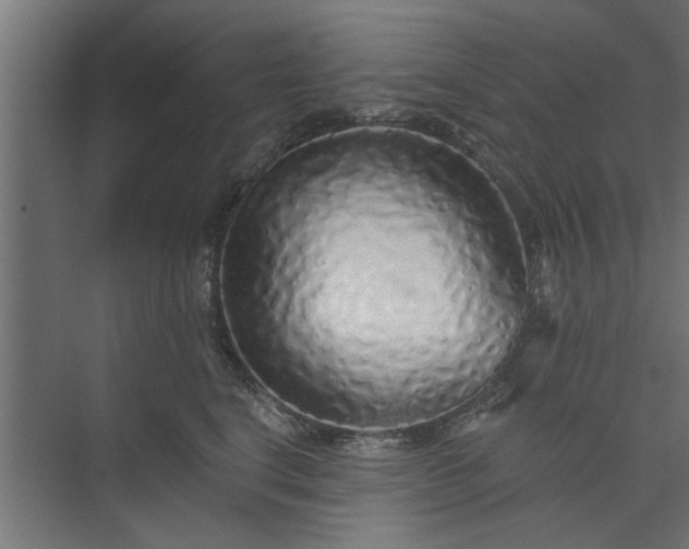 X0000073850664200608241044