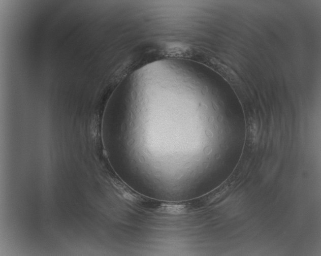 X0000073850665200608241044