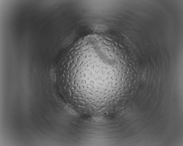 X0000073850666200608241044