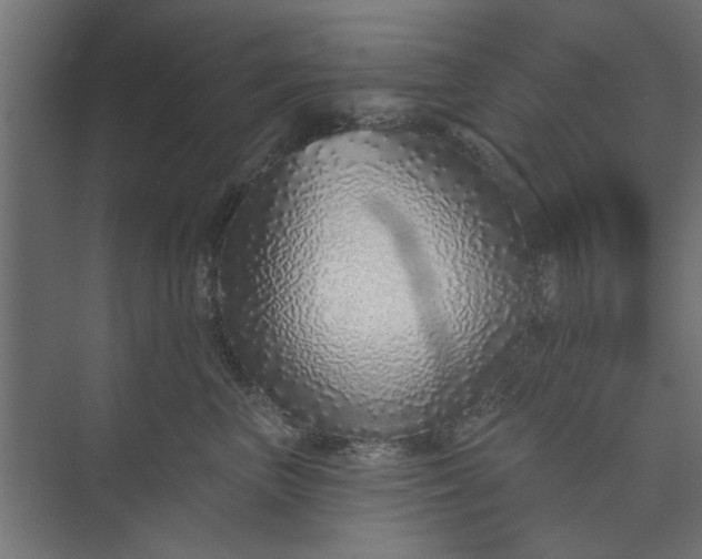 X0000073850667200608241044