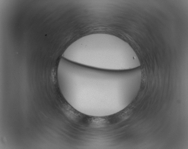 X0000073850669200608241044