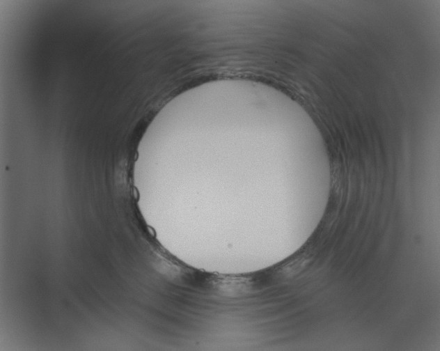 X0000073850670200608241044