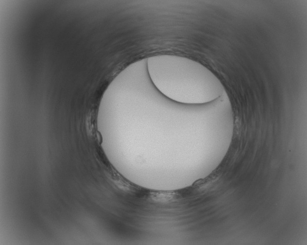 X0000073850671200608241044