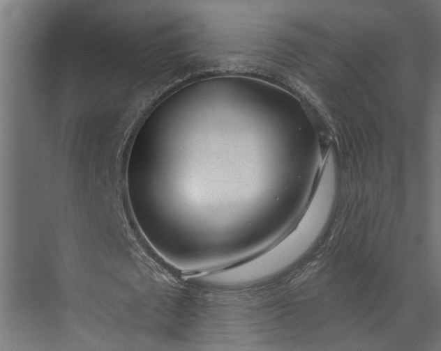 X0000073850673200608241043