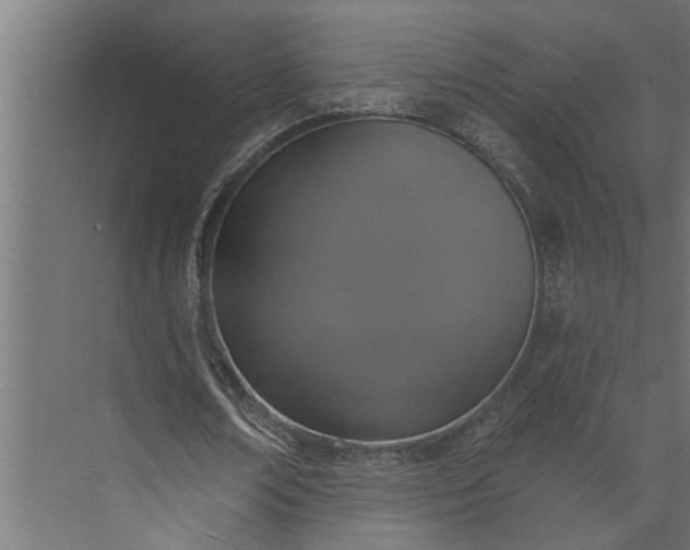 X0000073850674200608241043