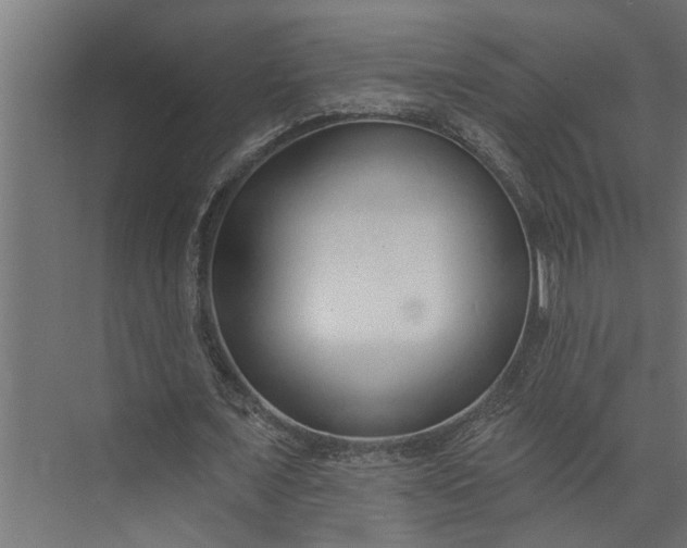 X0000073850675200608241043