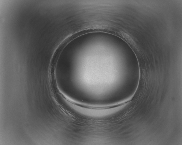 X0000073850676200608241043