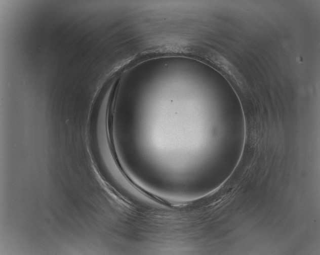 X0000073850677200608241043