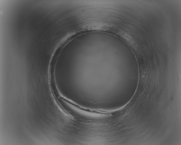 X0000073850678200608241043