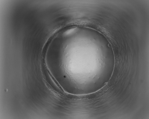 X0000073850679200608241043