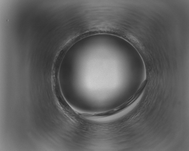 X0000073850680200608241043