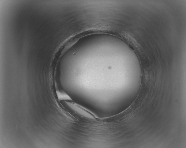 X0000073850684200608241043