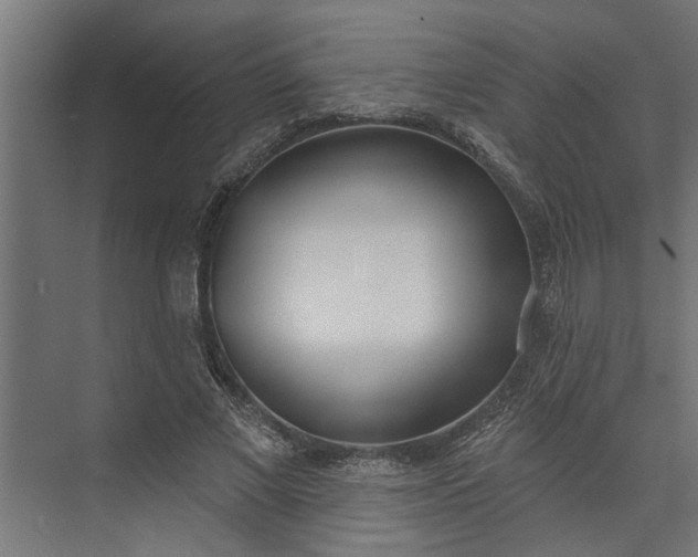 X0000073850685200608241043